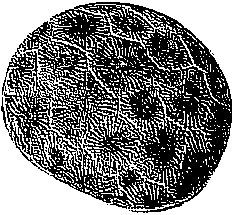 Do you know how to spell Petoskey?